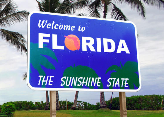 How to Survive Your Move to Florida (and What to Do When You Get There!)