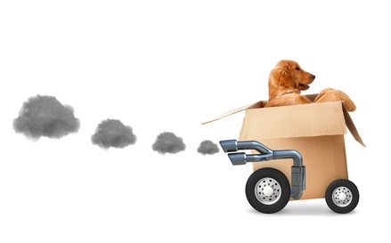 Take the Stress out of Moving with Pets